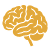 Renew Your Mind
